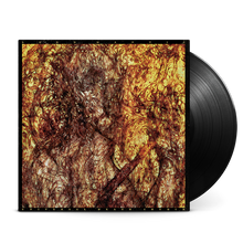 Load image into Gallery viewer, LORD MANTIS - Universal Death Church LP (Black)
