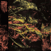 Load image into Gallery viewer, HISSING - Permanent Destitution CD Profound Lore Records Europe
